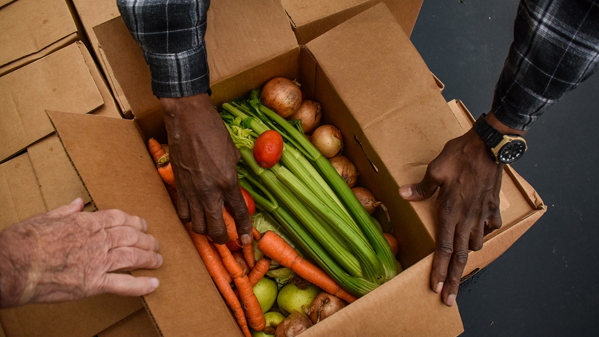 Produce at a mobile pantry in Michigan.