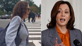 WATCH: House Dem makes bizarre claim while dodging question on VP Harris' 'border czar' record