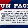 The world’s largest cave, Son Doong in Vietnam, has its very own ecosystem, complete with a river, forest, sunlight and climate. It’s so big that it can fit an entire NYC city block inside!