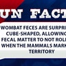 Wombat feces are surprisingly cube-shaped, allowing the fecal matter to not roll away when the mammals mark their territory