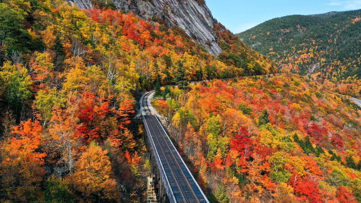 new hampshire road leaves