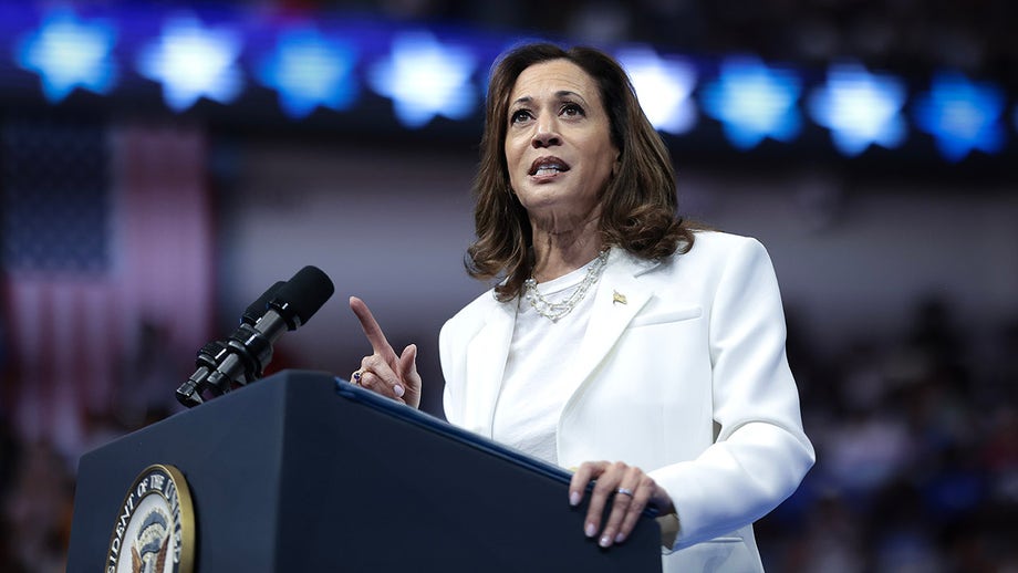 Conservative economists pour cold water on Harris' new small-business tax proposal