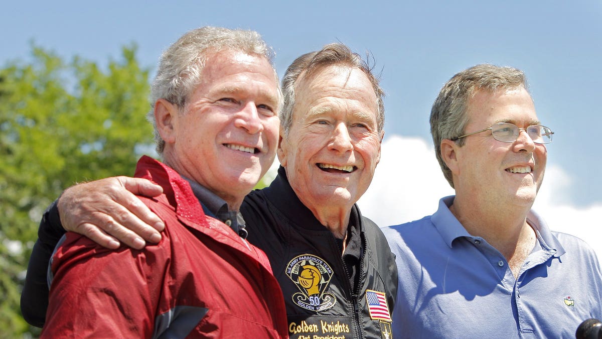 The bushes