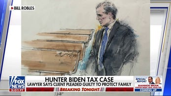 Hunter Biden pleads guilty to all tax evasion and fraud charges