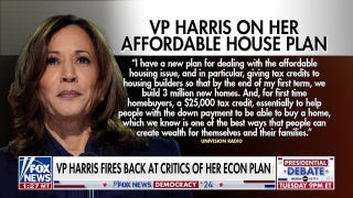 Why are critics going after Vice President Kamala Harris' economic plan? - Fox News