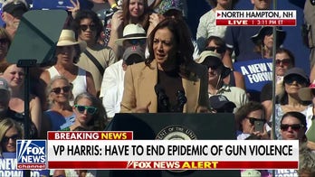 Kamala Harris: 'We have to end epidemic of gun violence in our country once and for all!'