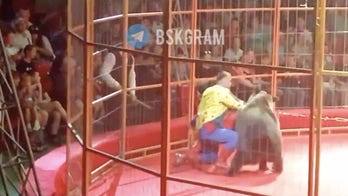 WATCH: Angry bear attacks trainer during performance in front of hundreds of terrified children, parents