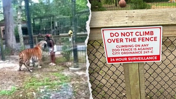 New Jersey woman charged after allegedly climbing into zoo's tiger enclosure, nearly getting bitten