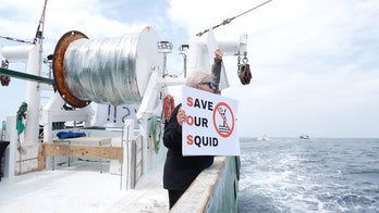 'Menace to our fisheries': New England flotilla unites to protest wind farm after turbine 'disaster'