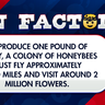 To produce one pound of honey, a colony of honeybees must fly approximately 55,000 miles and visit around 2 million flowers.