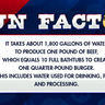 It takes about 1,800 gallons of water to produce one pound of beef, which equals 10 full bathtubs to create one quarter-pound burger. This includes water used for drinking, feed, and processing.