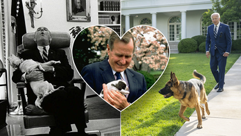 Dogs in the White House: JD Vance's German shepherd could continue beloved trend