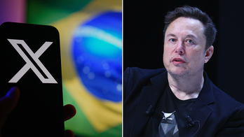 Elon Musk gets surprising defender after X was banned in Brazil: The Washington Post